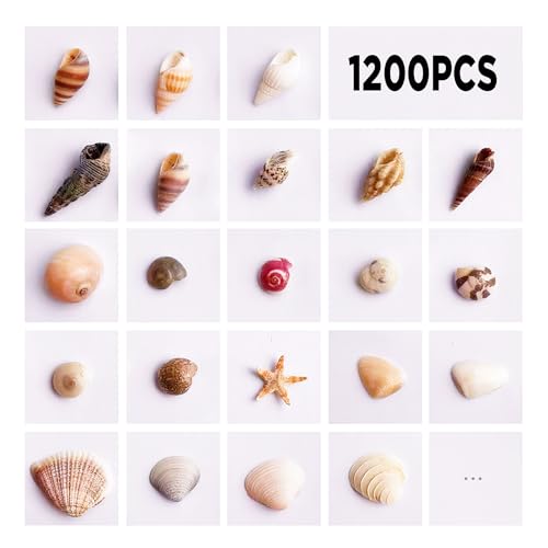 1200 PCS Tiny Sea Shells &10 Small Starfish - Mixed Ocean Beach Spiral Seashells for Fish Tank and Vase Filler, Beach Theme Party, Wedding Decor - DIY Craft Supplies