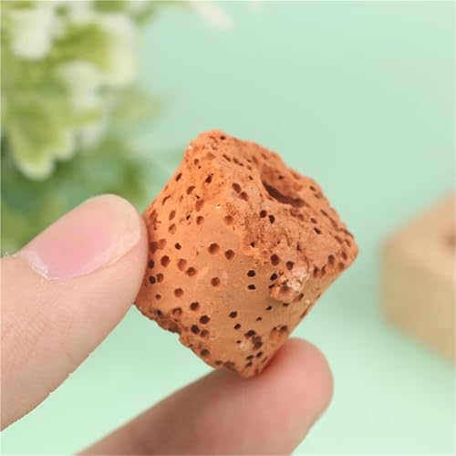 60Pcs Plant Ring Aquarium Fixed Watertank Filter Weightsholder Plants Fixing Tool Aquatic Media Pottery Gravityceramic Rings