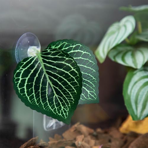 Betta Fish Bed - Betta Fish Leaf Hammock | Betta Resting | Comfortable Rest Area for Fish | Betta Hammock Plant Leaves | Breathing Breeding Pads Improve Betta's Health by The Natural Habitat