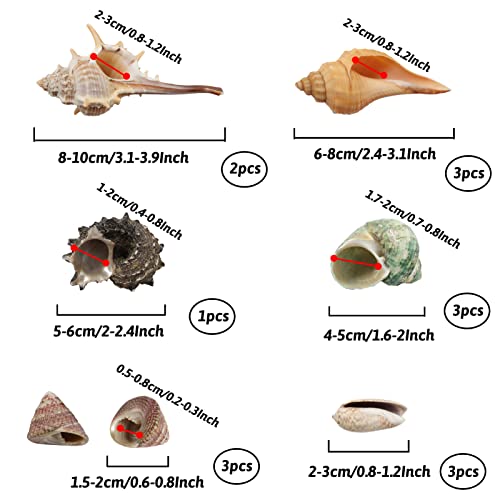 Hermit Crab Supplies - 22 pcs Shells, Natural Coconut Shell Reptile Hide, Artificial Plants, Tank Climbing Toys for Hideouts