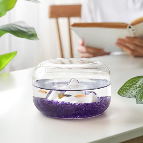 T4U Fish Tank Gravel 2 LB, Tumbled Small Rocks for Aquarium, Glass Beads for Vases, Succulent Rocks for Plants, Aquarium Gravel Decorative Pebbles for Terrarium Crafts Vase Filler, Purple - color: #14 - Purple, size: 2 LB