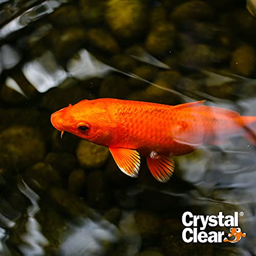 CrystalClear Algae D-Solv Pond Algae Control, Fast-Acting EPA Registered Algaecide, Use in Fountains & Outdoor Ponds Containing Koi & Other Fish, Treats 46,080 Gallons, 1 Gallon - size: 1 Gallon