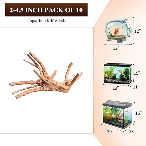 majoywoo Natural Small Driftwood for Aquarium Decor Fish Tank Decorations, Assorted Spider Wood Branch 2-4.5" 10 Pcs, Reptile Decor - size: Spiderwood 2 to 4.5 Inch(Pack of 10)