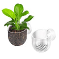 2Pcs Fish Tank Plant Holder Aquarium Plant Pot Suction Cup Planter Clear Acrylic Aquatic Plants Pot Aquarium Plants Cup for Fish Tank Decorations Water Culture Decor