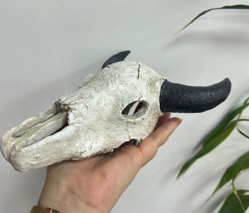8x6 inch Aquarium Decoration Fish Tank Skull Animal Skull Statues Décor Ornaments Fish Turtle Hidden,Amphibians Bonsai Beautification Cave Landscape Pet Reptile House (White - Black Horn Cattle Skull) - color: White - Black Horn Cattle Skull