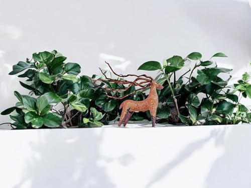 Azil Driftwood Deer Aquarium Decoration – Unique & Artistic Fish Tank & Terrarium Ornament, Safe & Eco-Friendly for Aquascaping & Reptile Habitats (Deer with Long Antlers)