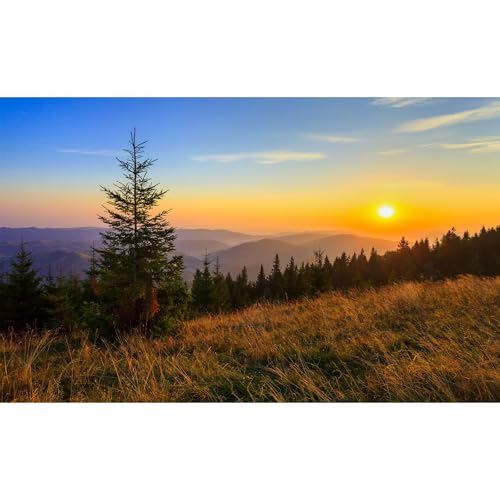 Sunrise Mountains Aquarium Background Fantastic Autumn Foggy Mountains Pine Trees Fish Tank Background Majestic Fall Morning Mountain Slope Meadow Scene Terrarium Reptile Tank Backgrounds 24x12in - color: Orange_Brown, size: 24(W)x12(H)in