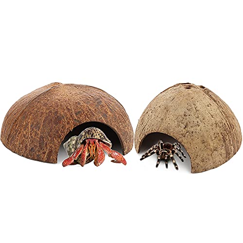 2 Pack Spider Coconut Shell Shelter, Hermit Crab Hideout, Lizard Hiding Cave, Turtle Rest Hut, Fish Tank Aquarium Decoration