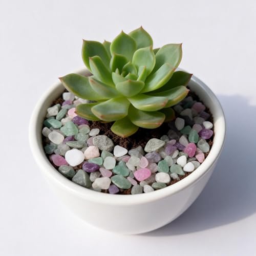 Aquarium Gravel,Rocks for Plants Indoor,0.44lb Fluorite Aquarium Gravel Rocks,Crystal Chips Stone Crushed Quartz for Crafts, Vases Filler, Succulent Plants, Aquarium Gravel Rocks (Fluorite) - color: Fluorite