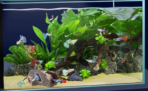 Beard Dragon,Lizard and Reptile Hide,Fish Tank Accessories Hides,Aquarium Decor for Betta Fish,Shrimp,Hermit Crabs,Spiders,Mice,Leopard Geckos,Toads and Frogs (Brown, m)