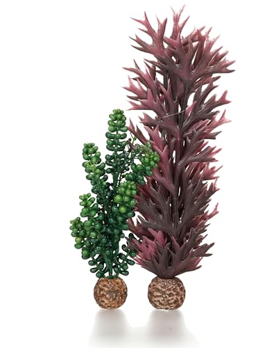 biOrb Medium Sea Pearls & Kelp Plant Set, Colorful and Durable Aquarium Decorations, Green and Crimson - color: Olive Green, size: Medium