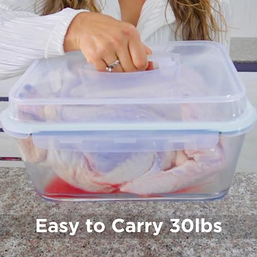 6500 ML / 220 oz / 28 Cup LARGE Glass Food Storage Container with Airtight Locking Lid. Ideal Storing food, Vegetables, Fruits. Baking Casserole, Lasagna, Roasting Turkey, Chicken BPA Free Oven Safe - size: 6500 ml