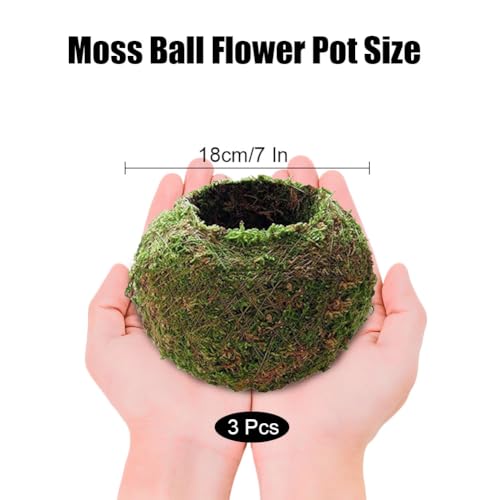 3 Pack Moss Ball Flower Pots,7 in Natural Planter Bonsai Plant Holder Bird Nest for DIY Gardening Home Table Decoration,Weave Moss Ball Planter,Garden Plant Potted Hydrating Flowerpots