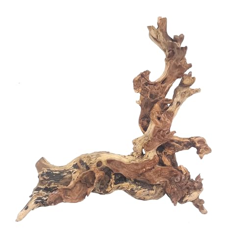 Hamiledyi Aquarium Driftwood, Natural Large 7-15in Coral Driftwood for Aquarium Decor Reptile Tank Decor Terrarium Ornament Wood Branch Trunk Stump for Fish Betta Lizard - size: XL:Mopani Driftwood (7-15in 1PCS)