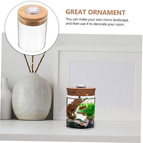Ciieeo Cylinder High Borosilicate Glass Moss Plant Bottle Creative DIY Microlandscape Terrarium Holder for Indoor Decoration Mini Fish Tank - size: 9.50X6.20X6.20CM