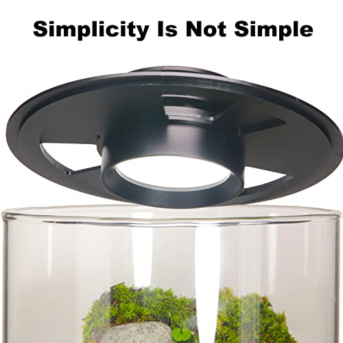 Desktop Glass Plant Terrarium with Grow Light (H:9.8" D:5.9"), for Succulent, Moss, Miniature Gardening Landscape, Betta Fish Tank, Office Home Decoration, Plant Lovers Gifts