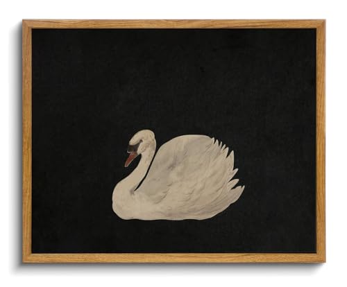 OIQArtOIQ Vintage Framed Wall Art Moody Grace Swan Canvas Art Prints Rustic Farmhouse Pictures Wall Decor Modern Cottagecore Paintings Artwork For Bedroom Kitchen Bathroom Office Living Room - color: Elegant Swan, size: 8x10 in