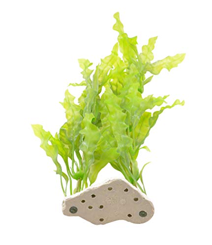 CNZ Aquarium Decor Fish Tank Decoration Ornament Artificial Plastic Plant 17.5-inch Java Fern, 2-Pack