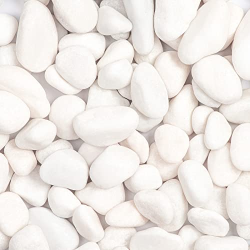 11lbs White Natural River Rocks, Polished Pebbles for Plants Garden, 1-2 inch Decorative White Stones, Ideal for Fish Tank, Vases, Crafting, Home Decor and Garden Landscaping Rocks,White - size: 11 Pounds, style: Snow White
