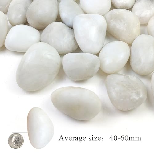 40LB White River Rocks - 2-3 inch High Polished Decorative Pebbles, Stones for Landscaping, Natural River Rocks for Outdoor Décor, Plants,Vase Filler,Fish Tank - size: 40LB, style: White