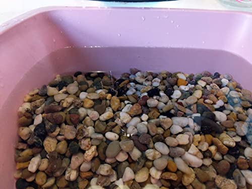 Voulosimi 18 LBS River Rock Stones, Natural Decorative Polished Mixed Pebbles Gravel,Outdoor Decorative Stones for Plant Aquariums, Landscaping, Vase Fillers - size: 18 LB