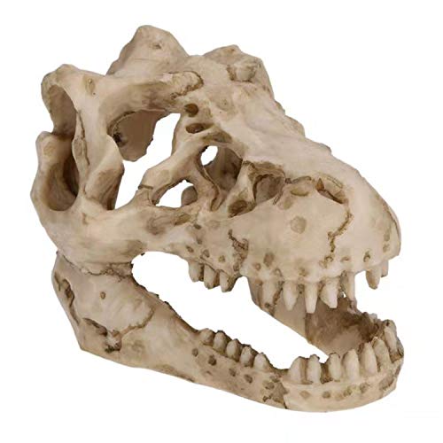 2Pcs Aquarium Decoration - Small Resin Dinosaur Skull Skeleton Fish Tank Cave Pet Reptile House Decoration