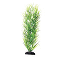 Underwater Treasures Green Diandra - 12"