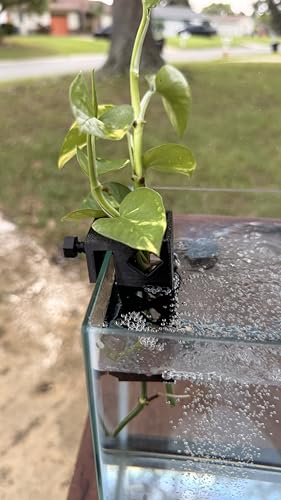 Aquarium Plant Holder for Standard Rimless Fish Tanks The Cage 3D Printed - Pothos Holder - Stemmed Plant Holder