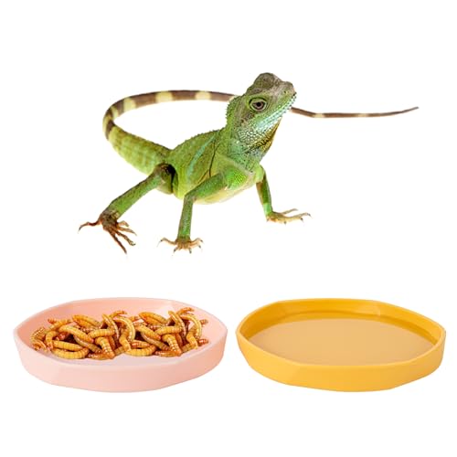 COMSUN 4 Pack Small Reptile Food Dish Bowl, Plastic Worm Water Dish Plate for Lizard Gecko Bearded Dragon Chameleon 4" W x 4" D x 0.5" H, Blue and Yellow - color: Blue and Yellow