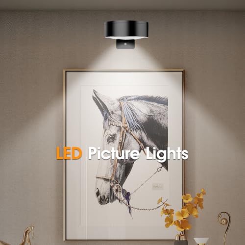 Picture Lights for Wall, 3 Lighting Modes Magnetic Art Display Light,Rechargeable Battery Operated Led Painting Light with Remote Control Dimmable & Timer,3Pack Black - color: Black, size: 3 Pack