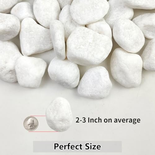 YISZM 5lb White Pebbles for Indoor Plants, 2-3 Inch Natural River Rocks, Snow White Decorative Stones, Ideal for Fish Tank, Vases, Crafting, Home Decor and Garden Landscaping Rocks - size: 5 Pounds, style: 2-3 Inch