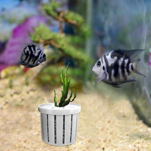 Aquarium Plant Cup, Aquatic Holder Pot, Container with Porous Design, Tool with Sturdy Build, Garden Supply, 4 Piece Decoration for Pond Wall Corner Shelf Terrarium Tank Patio Balcony Home