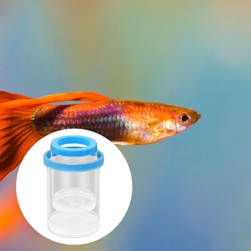 Fish Breeding Box Aquarium Floating Breeder Incubator Holder Isolation Container with Hole Lid Easy Setup Clear pp Material Suitable for Guppy Betta, Blue - color: blue