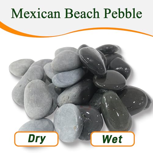 Quibbay 45 LB Mexican Beach Pebbles, 2-3 Inch Natural River Rocks, Premium Pebbles for Garden and Landscape Design, Decorative Stones for Fish Tank Flower Pots Water Fountains Pathways Backyard, Grey - size: 45 Pounds, 2-3 Inch