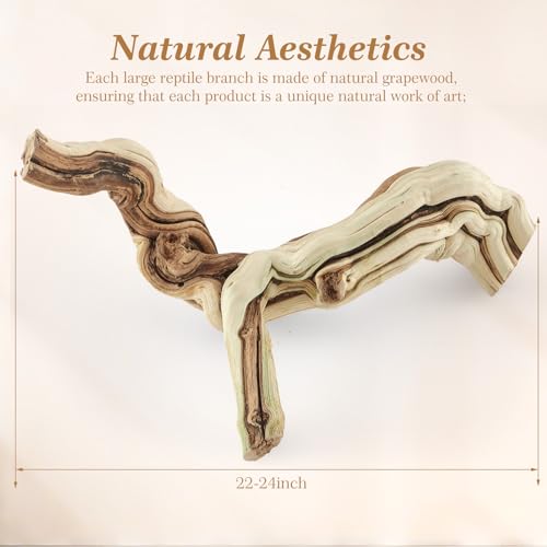 Janinka 22-24" Length Large Wood Reptile Branch for Bearded Dragon Driftwood Reptile Climbing Habitat Decoration for Terrarium Tree Trunk Ornament Gecko Frog Chameleon Spider - size: 22-24"