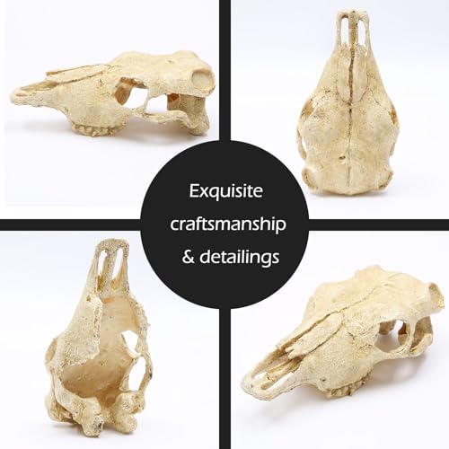 Aquarium Skull Décor Fish Hideout Cave Decorations Betta Tarantula Reptile Snake for Terrarium Ornament Dinosaur Animal Large Bones Halloween - color: Goat