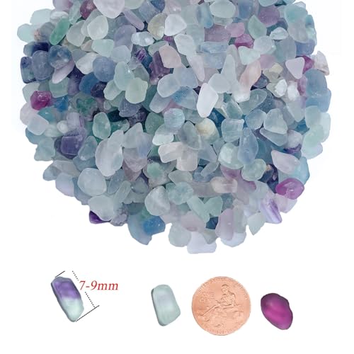 1 LB Small Crystals Rocks, Tumbled Chips Stone, Natural Quartz Crystals for Crafts, Pebbles for Indoor Plants, Decorative Stones for Vases, Succulents, Cactus - color: Fluorite 5-9mm