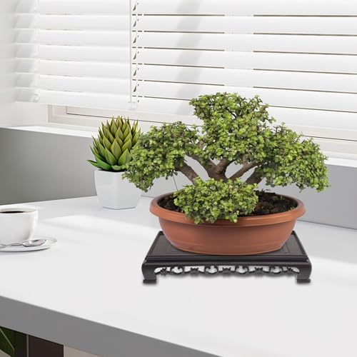 NUOBESTY Rectangular Plastic Flowerpot Base and Aquarium Stand for Indoor Plants, Multi-purpose Fish Tank Holder with Sturdy Plastic Material, Suitable for Living Room and Garden Display