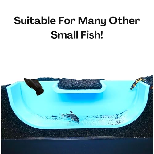 Betta Underground Tunnel Hideout Cave | Aquarium Hide for Small Fish and Shrimp | Viewing Betta Fish Rest Hammock Enrichment Toy | Betta Fish Tank Accessories Decorations Toys Decor (Light Blue) - color: Light Blue