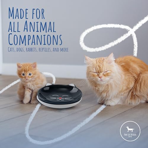 Park Life Designs Oscar Cat Dish - Feeding Bowls - Cat Shaped Food and Water Bowls for Cats (Cream) - color: Cream