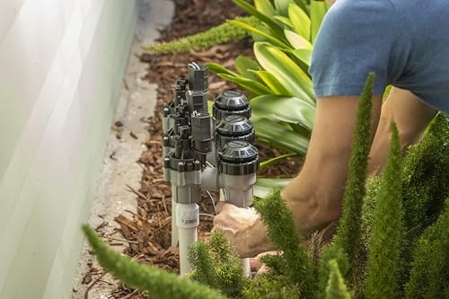 Rain Bird DASASVF100 Professional Grade Anti-Siphon Valve with Flow Control, 1" Threaded Female x Female - size: 1 Inch