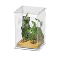 Reptile Terrariums with Temperature Hygrometer, 5.9"x5.9"x9.8" Acrylic Breeding Box Terrarium Cage Tank for Small Reptile Insect Home Office (Arboreal) - size: Arboreal--M (Tray)