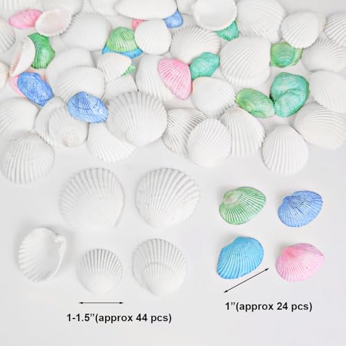 68 Pcs Small Natural Scallop Seashells 1-1.5 Inch Decorative Sea Shells for DIY Painting Projects,Coastal Crafts,Beach Theme Decor,Wedding Centerpieces, Aquarium,Vase Fillers,White,Colored Mix - color: White/Small