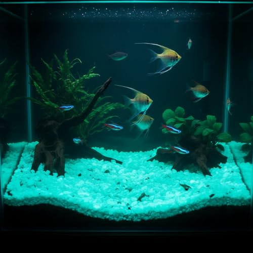 Shiny Stone Glow in The Dark Aquarium Neon Gravel Sand, Decorative Rocks for Fish Tank and Fairy Garden, Home Dec,305g/0.67lbs (5-8mm, Blue Green) - color: Blue Green, size: 5-8mm