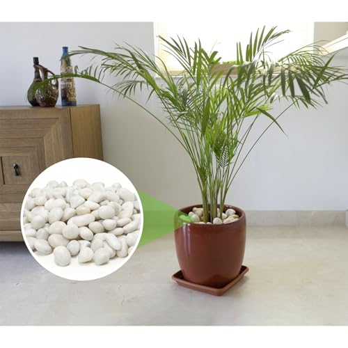 Mr. Fireglass 10lb White River Rocks, 3/8 inch Natural Decorative Polished Pebbles Aquarium Gravel Stones for Landscaping, Indoor Plants, Vase, Succulent, Fish Tank - color: White, size: 3/8 inch, 10 lb