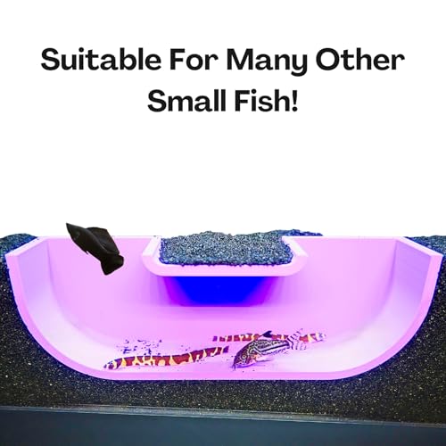 Betta Underground Tunnel Hideout Cave | Aquarium Hide for Small Fish and Shrimp | Viewing Betta Fish Rest Hammock Enrichment Toy | Betta Fish Tank Accessories Decorations Toys Decor (Purple) - color: Purple