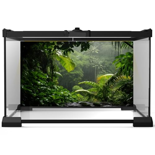 Raining Rainforest Aquarium Background Tropical Rain Shower Green Jungle Leaves Fish Tank Background Lush Foliage Wet Forest Reptile Tank Backgrounds Foggy Trees Reptile Enclosure Backgrounds 24x12in - color: Dark Green, size: 24(W)x12(H)inches/ 60(W)*30c
