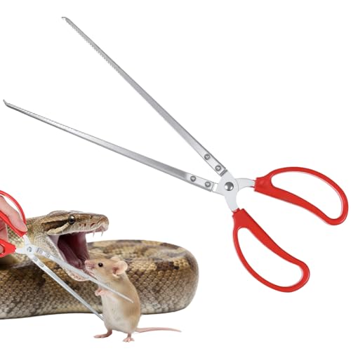 Snake Feeding Tongs 14,57 Inch Long Tool to Feed A Reptile Lizard Extra Stainless Steel Large Tweezers Heavy Duty Straight Mouth for Ball Python Fish Aquariums Reptiles