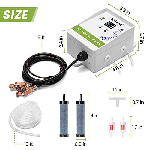 briidea Aerator for Bait Bucket, 12 Volt Livewell Aerator Pump System with Adjustable Pump Timing Cycle Function, Dual Outlet Aerator for Boat Bait Tank and Livewell, Keeps Bait Fish Alive