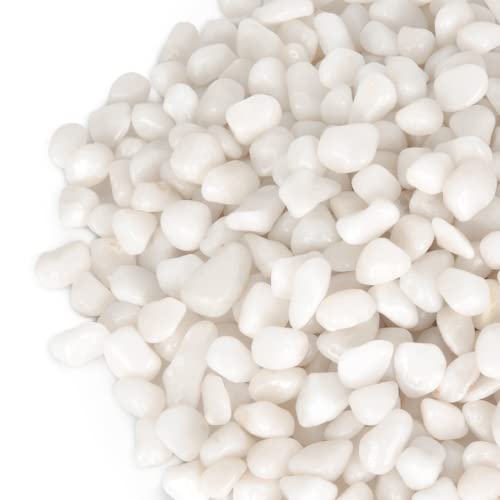 GASPRO 10 lb Highly Polished White Pebbles & Stones - 3/8" Small Decorative Rocks for Indoor Plants, Succulents, Vases, Terrariums & Home Decor - size: 10lb